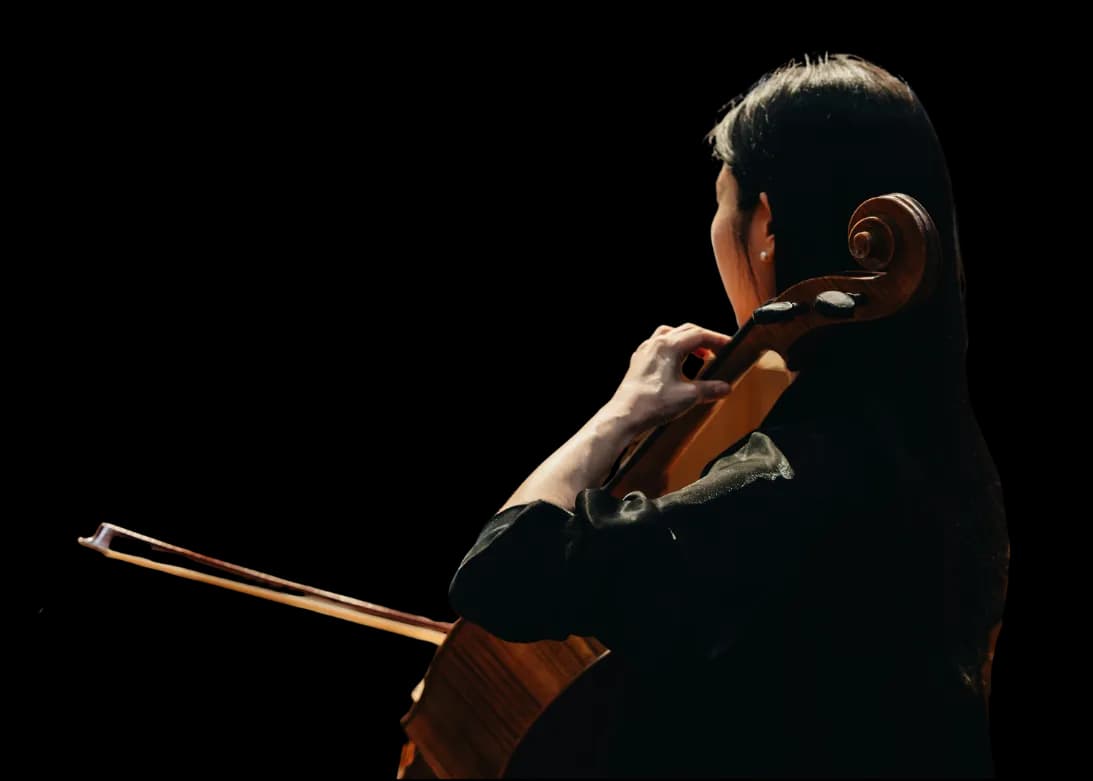 Classical orchestra