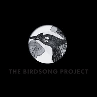 Rotating Logo